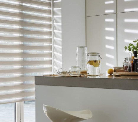 THE MAGIC LIGHTS / ZEBRA BLINDS