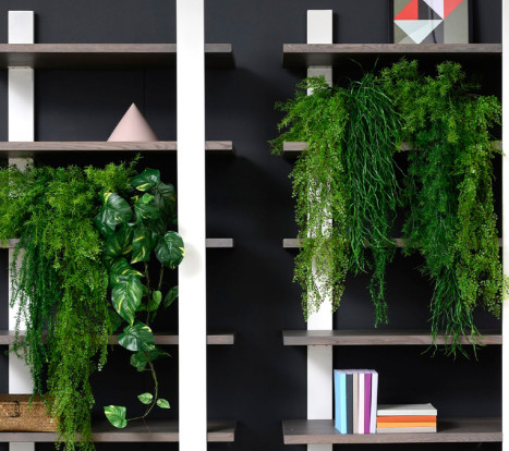 ΒΙΒΛΙΟΘΗΚΗ CELINA