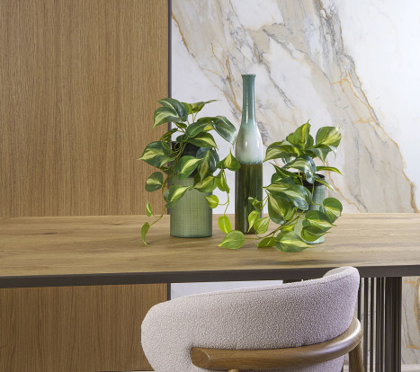 ΤΡΑΠΕΖΑΡΙΑ SECRET